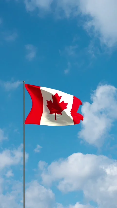 Flag Canada waving in the wind. Stock Footage 321740046