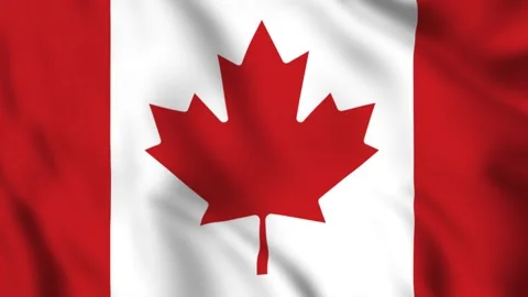 Flag of Canada Waving in the Wind - Looping Animation Stock-Footage 246827035