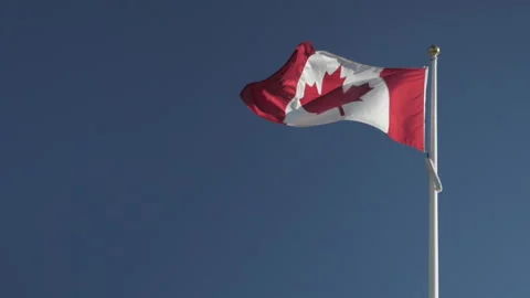 Flag Canadian Video stock 157462069