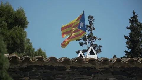 The flag of Catalonia develops in the wind in the background grow green trees Stock Footage 113226614
