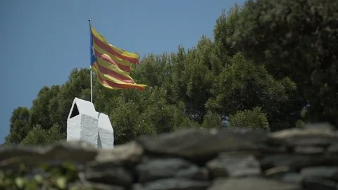 The flag of Catalonia develops in the wind in the background grow green trees 库存影片 113226629