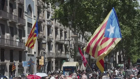 Flag of Catalonia flown at protest Stock-Footage 163286916