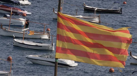 Flag of Catalonia 스톡 동영상 55801459