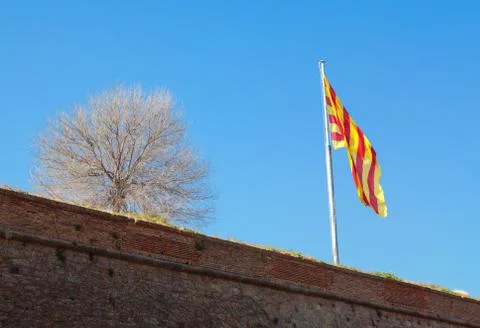 The flag of Catalonia Stock Photos