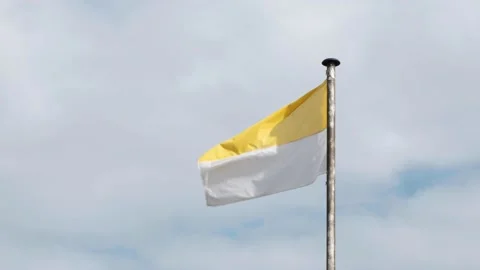 Flag Catholic Church Stock Footage 131377584