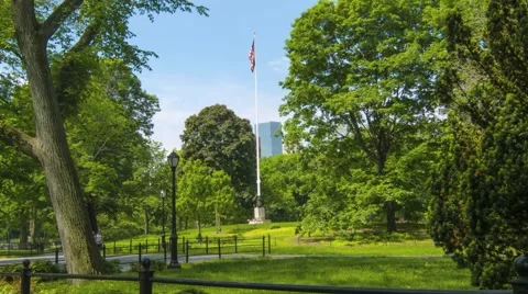 Flag in Central Park Video stock 40383567