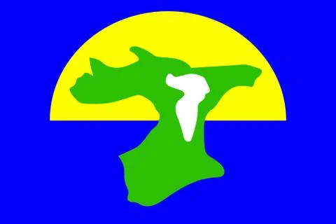 Flag of Chatham Islands. Vector illustration. World flag Stock-Illustration