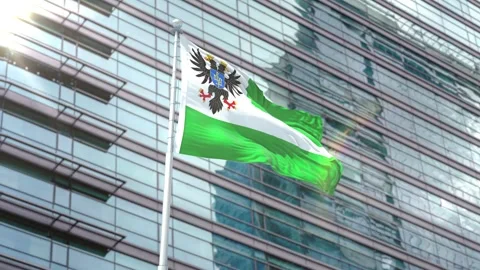 Flag of Chernihiv Oblast Stock Footage 343556871