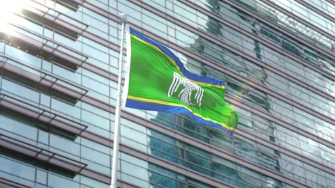 Flag of Chernivtsi Oblast Stock Footage 343556877