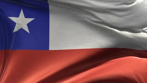 Flag of Chile Loop Stock Footage 119059645