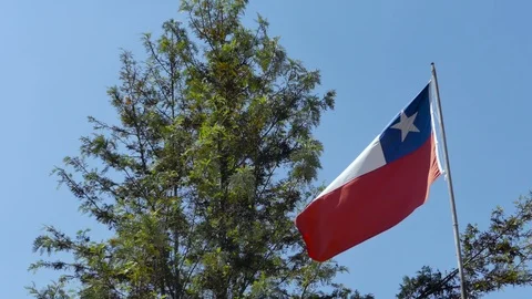 Flag of Chile trembling from right to left Stock Footage 97868444
