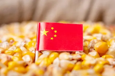 Flag of China on corn Stock Photos