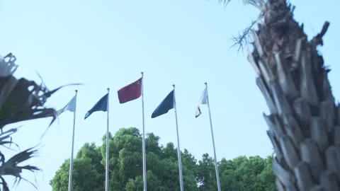 The flag of China Stockbeeldmateriaal 132404939