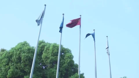 The flag Chinese Stockbeeldmateriaal 132405181