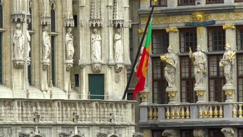 Flag of the City of Brussels. Stock Footage 145210049