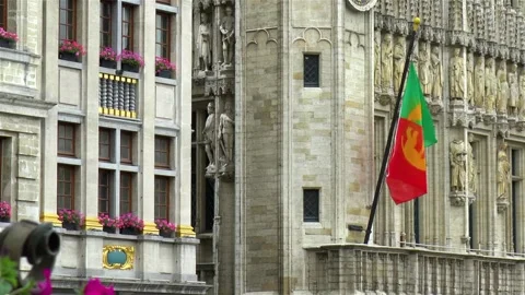Flag of the City of Brussels. 스톡 동영상 145244919