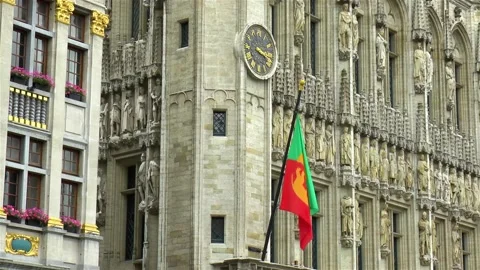 Flag of the City of Brussels. Stock Footage 145287095