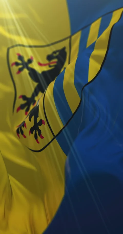 Flag of the city of Leipzig in the state of Saxony, Germany. Loop, 4K Vertical Stock-Footage 308361761