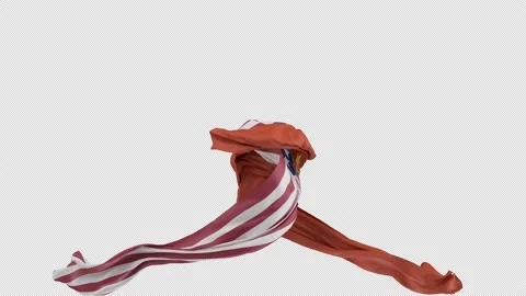Flag cloth Stock Footage 201625300