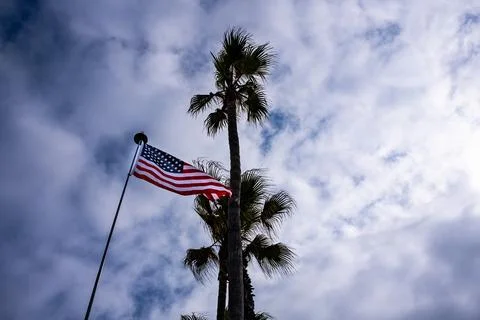 Flag-clouds-palm Stock Photos