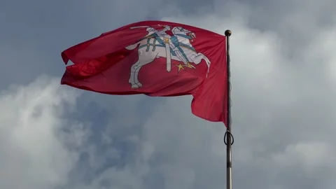 Flag with coat of arms of Lithuania flying with sky at background Stock Footage 219314803