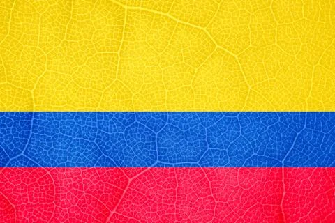 Flag of Colombia on the structure of a tree leaf macro Foto stock