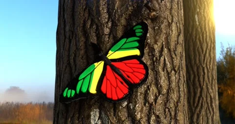 Flag of the Congo on Butterfly Wings Realistic 4K UHD 60FPS Stock Footage 147181302