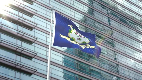 Flag of Connecticut Stock Footage 343556885