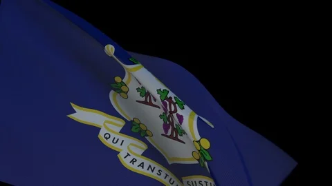 Flag of Connecticut Waving in the Wind Stock Footage 93851034