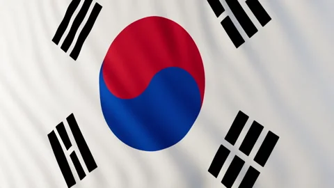 Flag of Corea 스톡 동영상 295272435