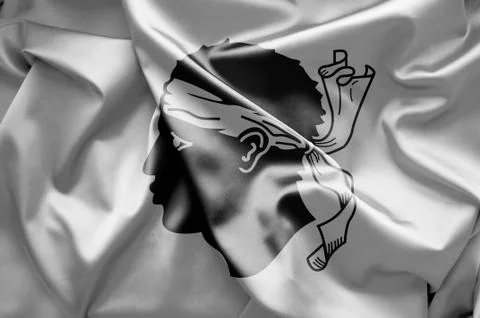 Flag of corsica Stock Illustration