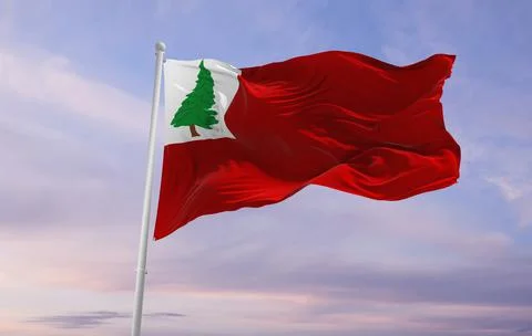 Flag of county New England pine , USA at cloudy sky background on sunset, pan Stock Illustration