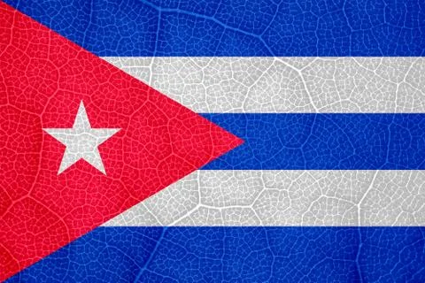 Flag of Cuba on the structure of a tree leaf macro Stock-Fotos