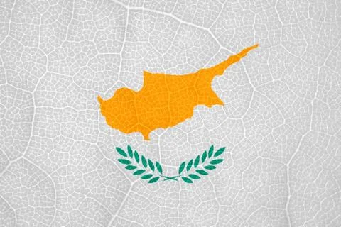 Flag of Cyprus on the structure of a tree leaf macro Stock Photos