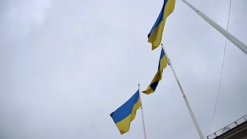 Flag Day of Ukraine Video stock 204991293