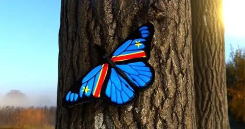 Flag of the Democratic Republic of the Congo on Butterfly Wings Realistic 4K UHD Stock Footage 147179935