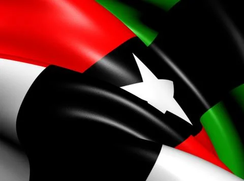 Flag of denison Stock Illustration