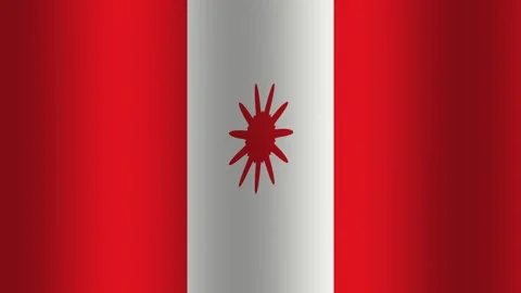 Flag design featuring a red and white pattern with a star Stock Footage 338166663