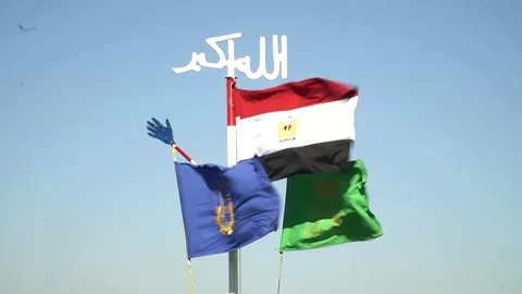 Flag Display Stock Footage 311201359