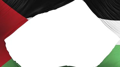 Flag of the divided Arab Democratic Republic of Sahara, white background, 3d Stock Illustration