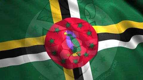 Flag of Dominica with crossed lines and a parrot bird inside a red circle with Stock Footage 166380720