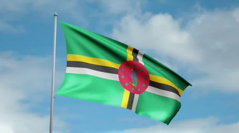 Flag of Dominica 스톡 동영상 442487