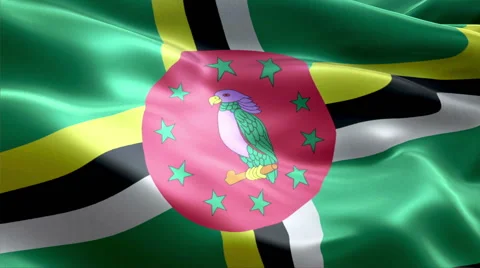 Flag Dominica Stock-Footage 47737176