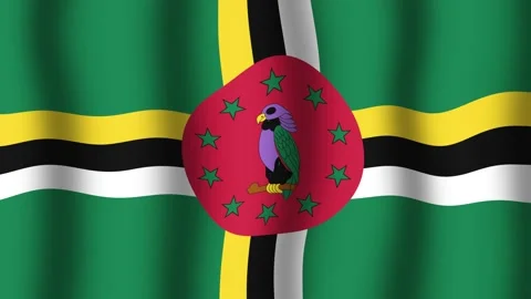 Flag of Dominica Vidéo 175650652