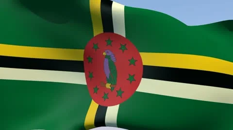 Flag of Dominica HD Stock Footage 14190513
