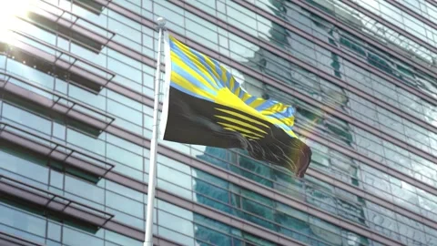 Flag of Donetsk Oblast Stock Footage 343556957