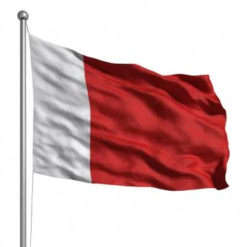 Flag of dubai Stock Illustration