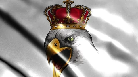 Flag with eagle head with crown Stock Footage 243469432