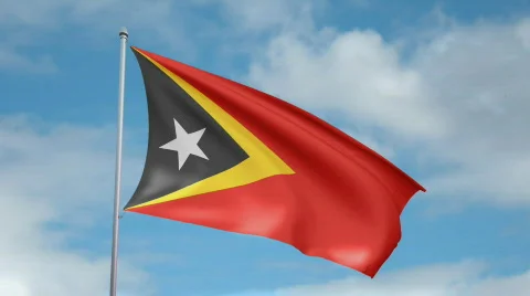 Flag of East Timor 스톡 동영상 442543