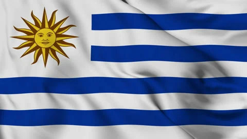 Flag of the Eastern Republic of Uruguay gently waving in the wind Stock Footage 139956080